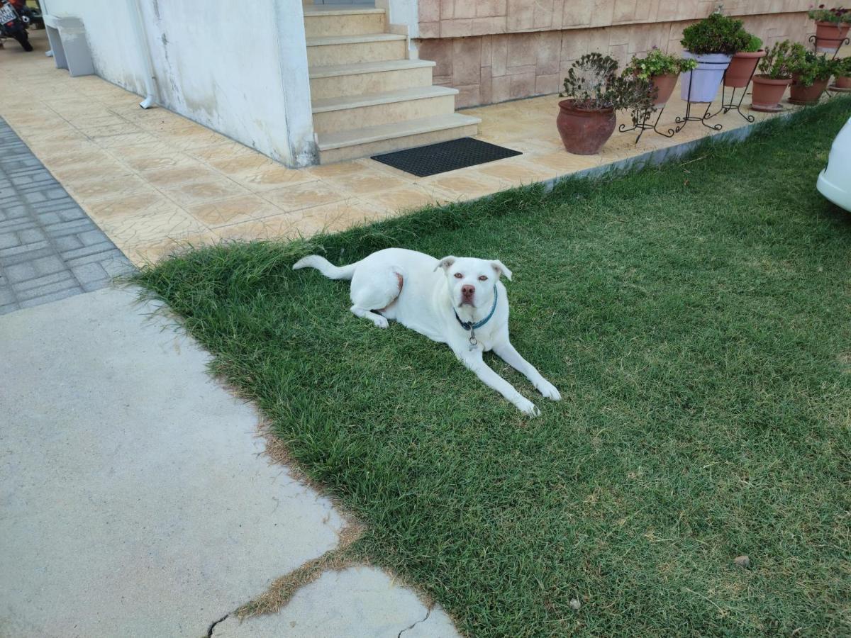 Asterios House Apartment กริโอปียี ภายนอก รูปภาพ